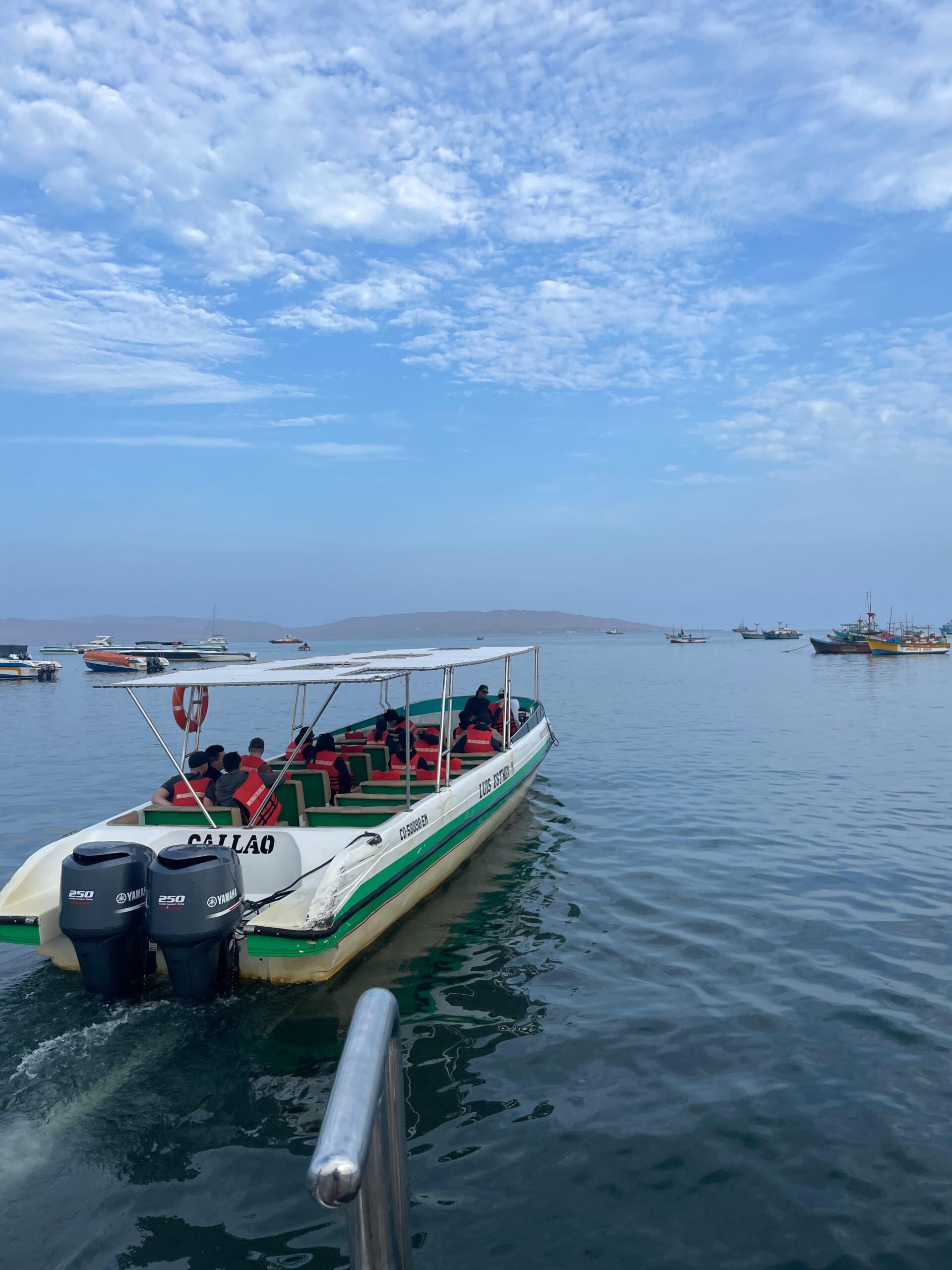 tour paracas desde ica