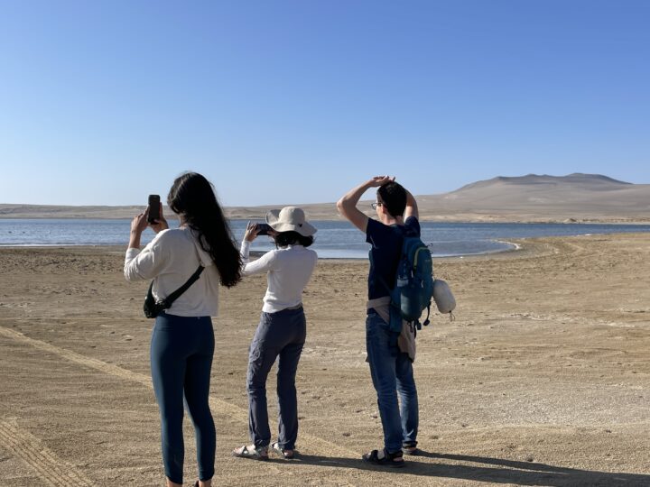 PREMIUM TREKKING PARACAS