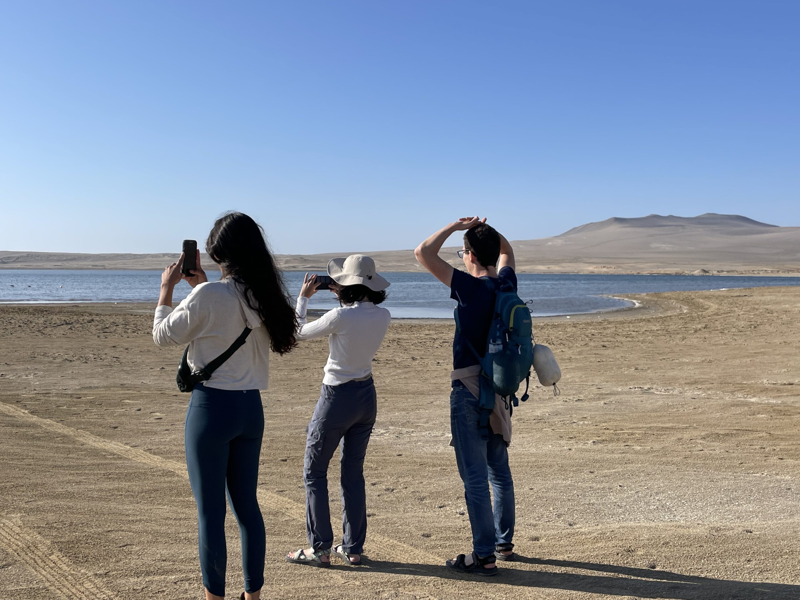 PREMIUM TREKKING PARACAS