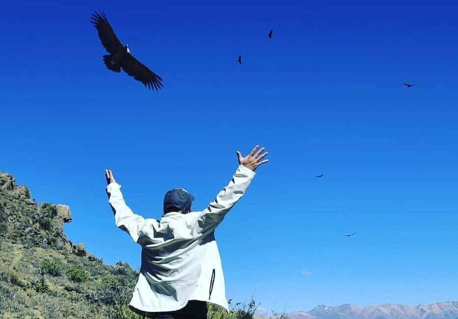GIORNATA INTERA COLCA CANYON - AREQUIPA