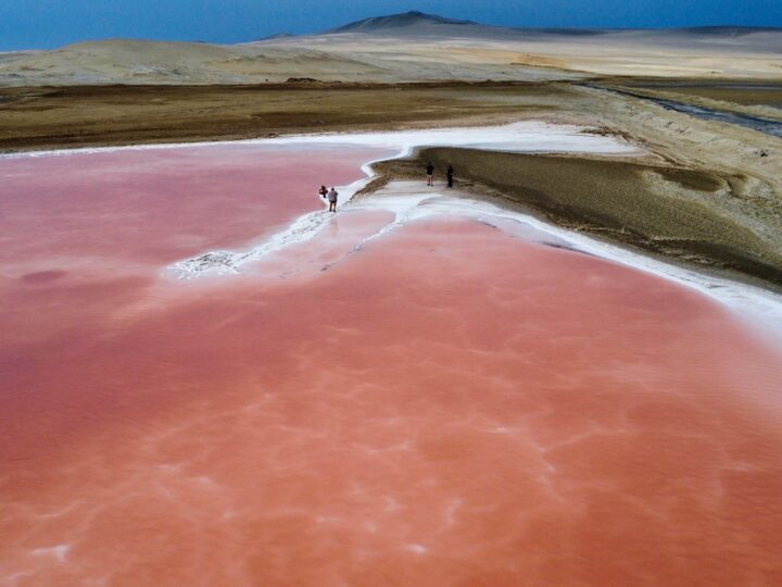 RESERVA NACIONAL DE PARACAS CON LAGUNA ROSADA