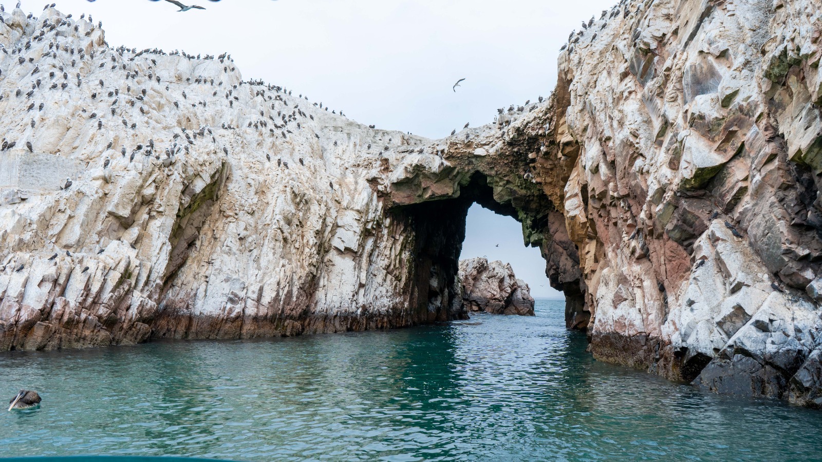 Islas Ballestas + Sombras Doradas Trekking Premium - Image 28
