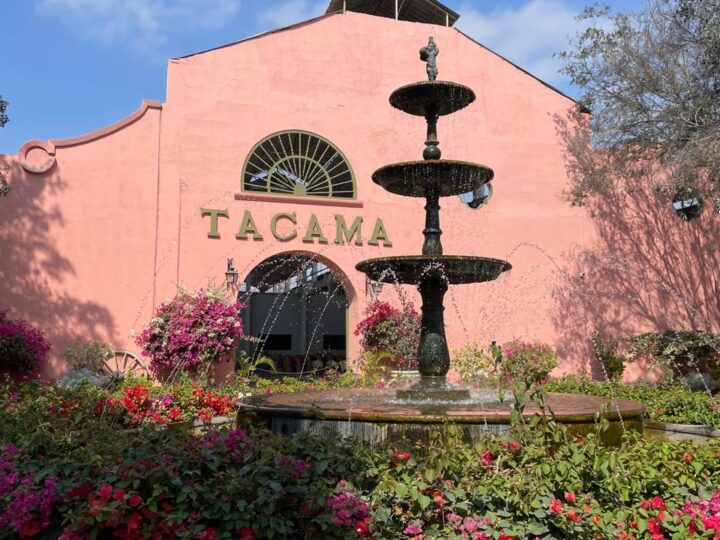 Full-Day Pisco Tour: Caravedo, Tacama, and Artisanal Traditions