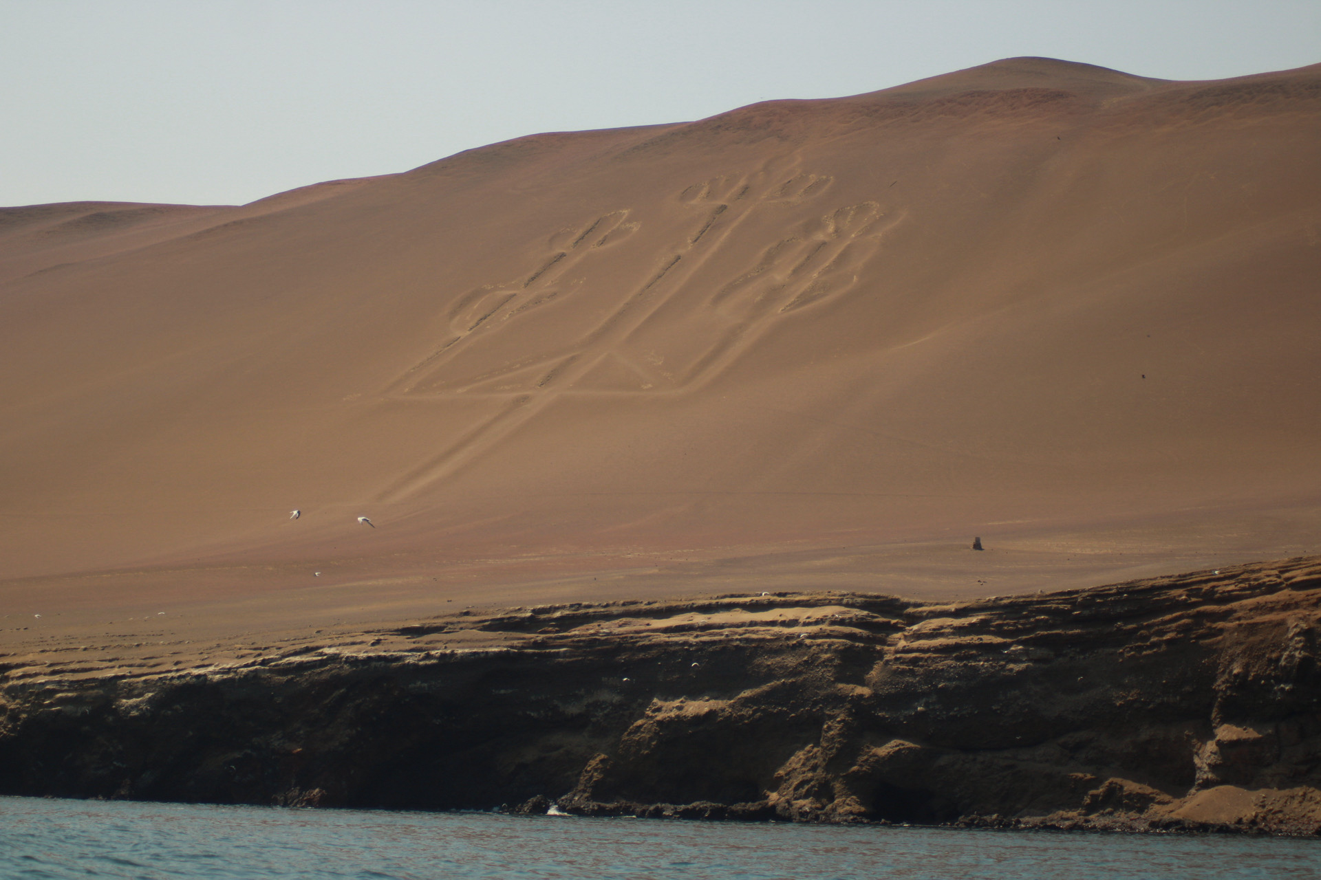 Islas Ballestas + Sombras Doradas Trekking Premium - Image 12