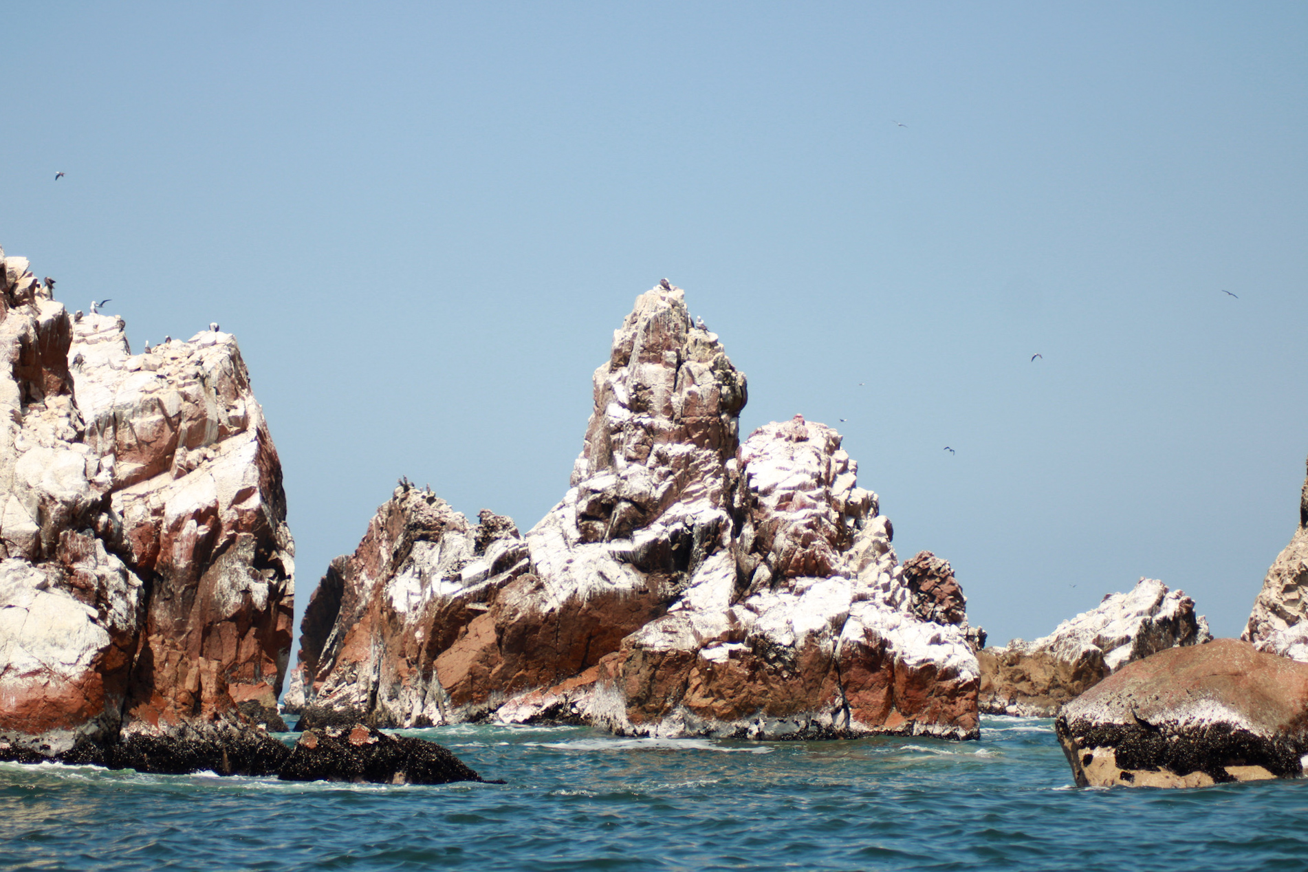 Islas Ballestas + Sombras Doradas Trekking Premium - Image 16