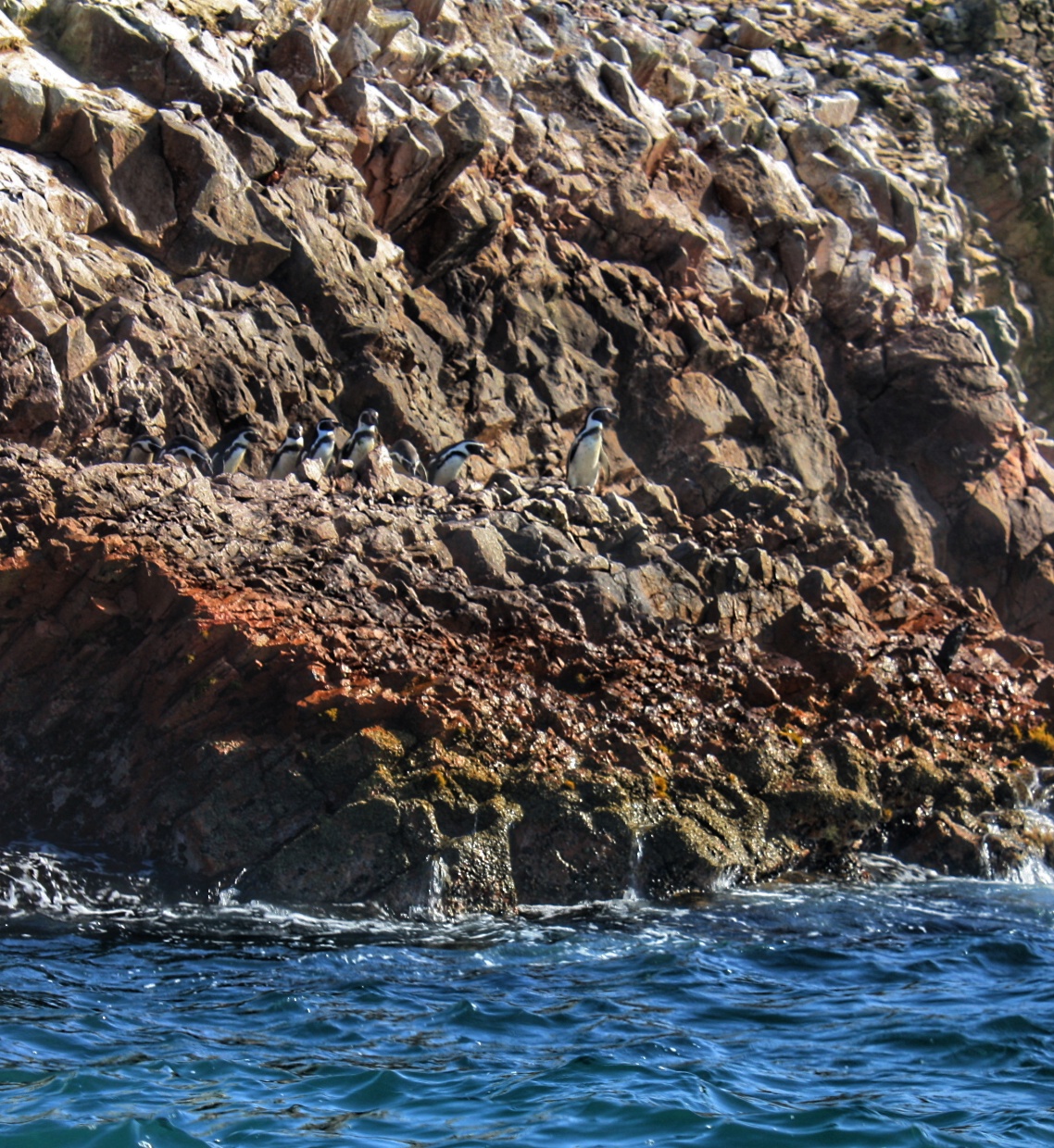 Islas Ballestas + Sombras Doradas Trekking Premium - Image 15