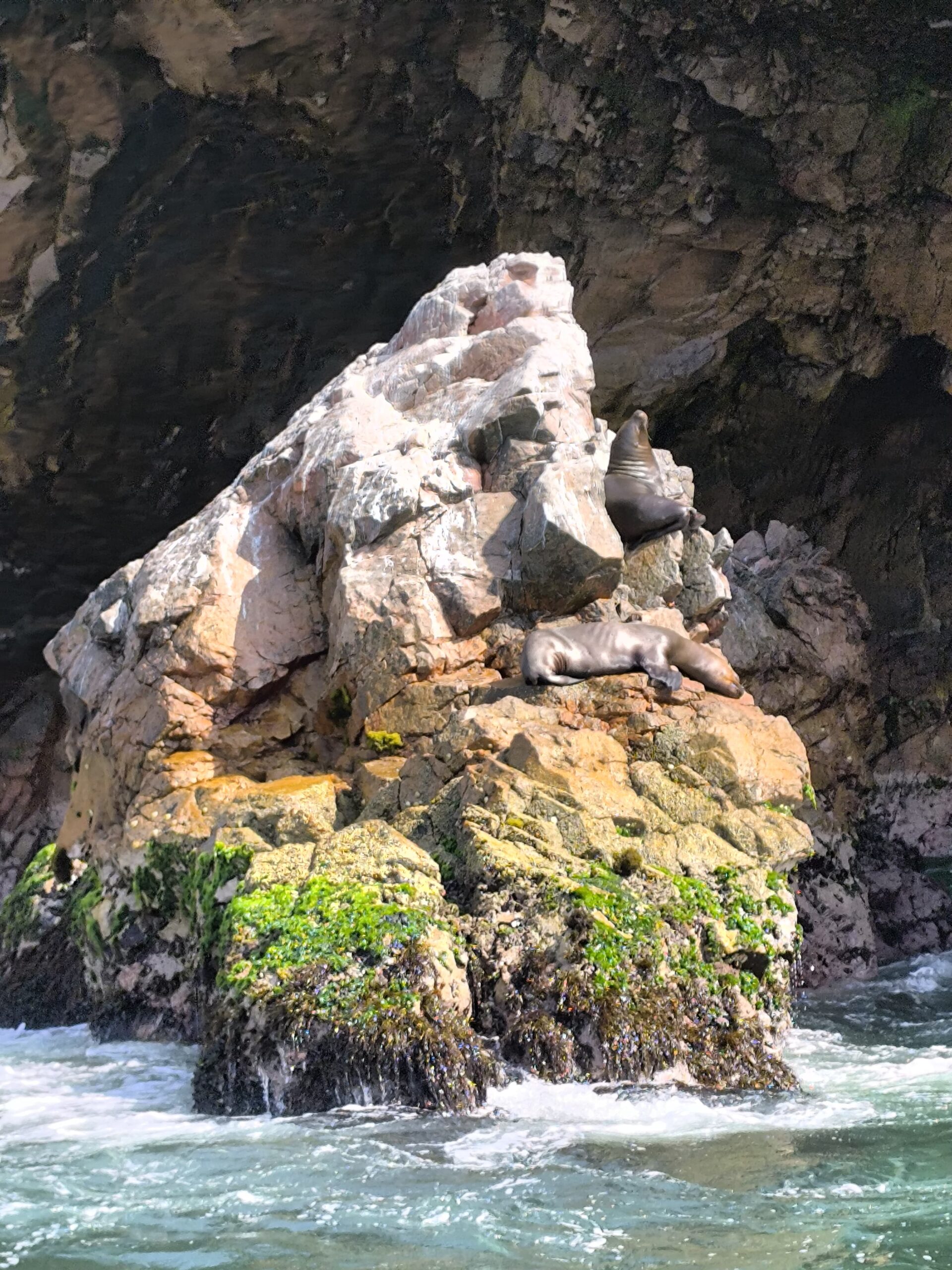Islas Ballestas + Sombras Doradas Trekking Premium - Image 9