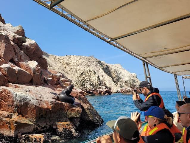 FULL DAY PARACAS EN MINIBUGGY DESDE LIMA - Image 2