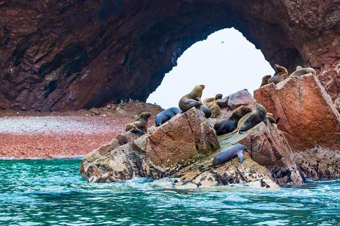 FULL DAY PARACAS EN MINIBUGGY DESDE LIMA - Image 15