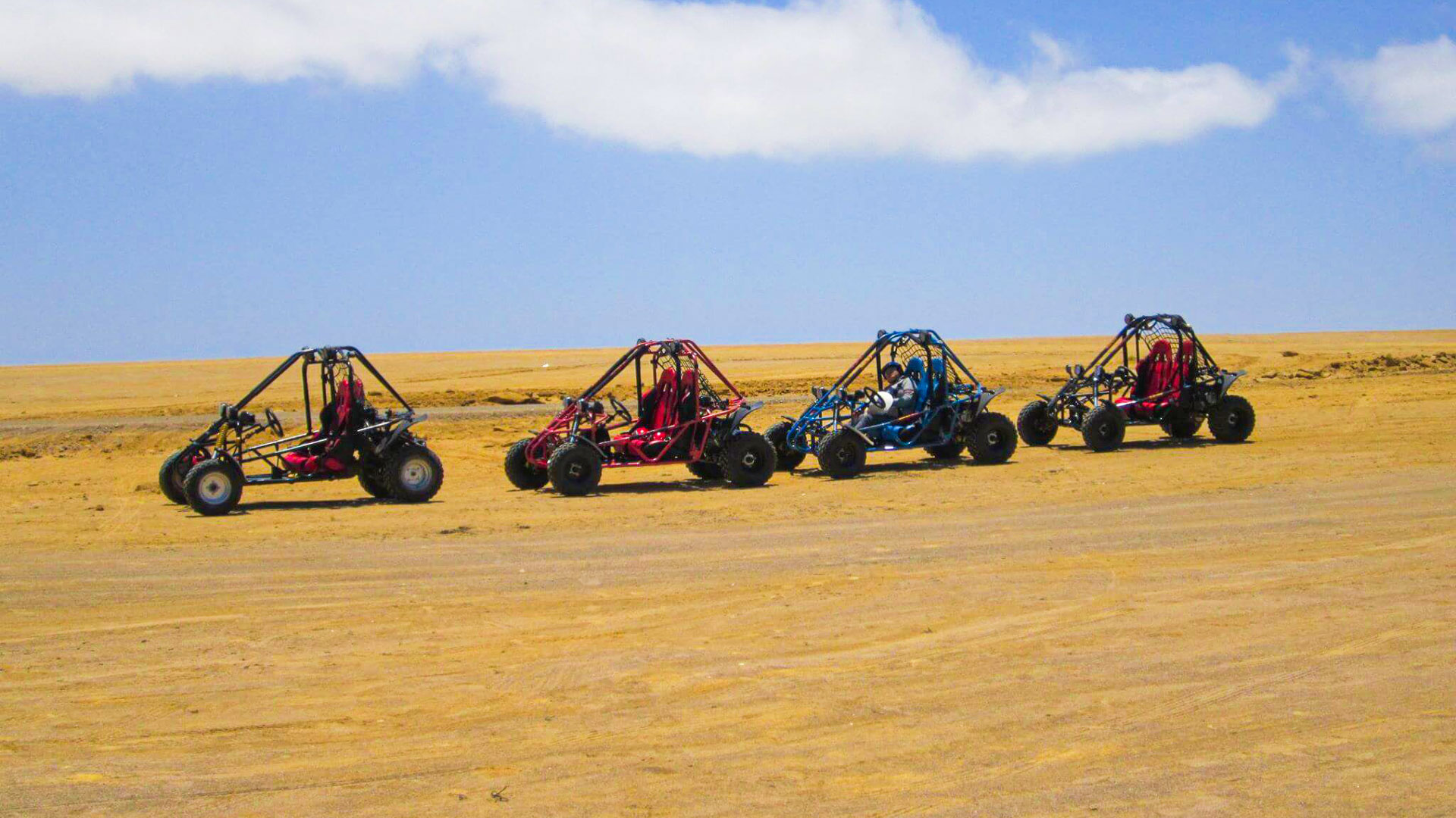 FULL DAY PARACAS EN MINIBUGGY DESDE LIMA - Image 16