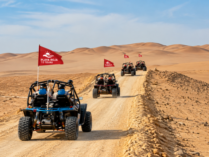 FULL DAY PARACAS EN MINIBUGGY DESDE LIMA